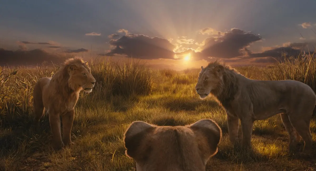 Mufasa Il Re Leone Ha Una Scena Post Credits Cinefilos It