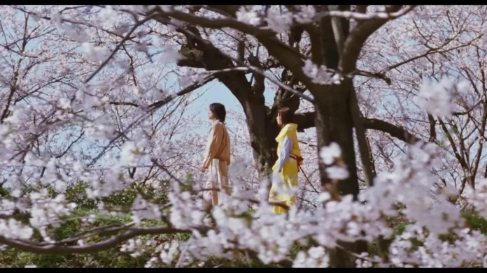 Dolls film Dolls film