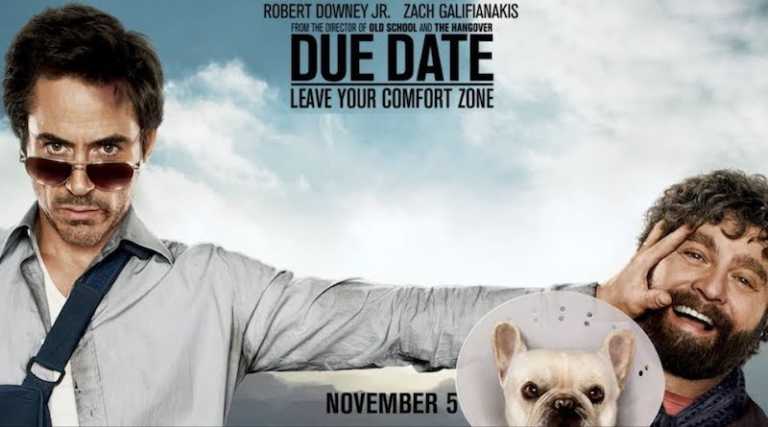 Parto col folle: recensione del film con Robert Downey jr.