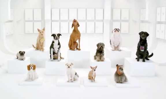 The Bark Side- 2012 Volkswagen Game Day Commercial