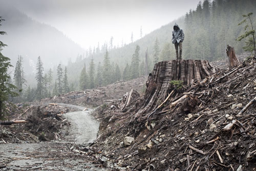 if a tree falls-film
