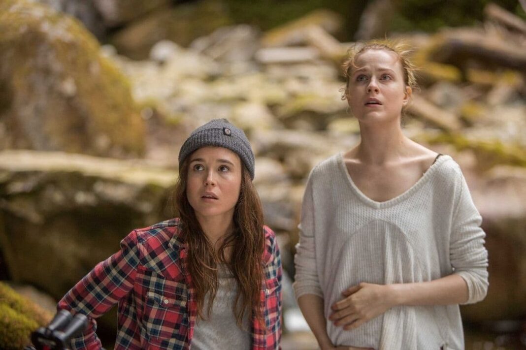 Into The Forest film