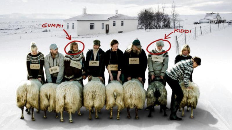 RAMS – Storia di due fratelli e otto pecore