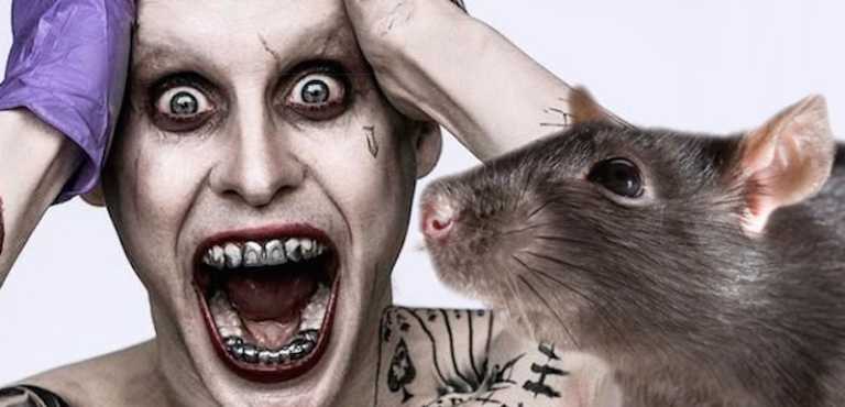 Suicide Squad: il topo di Jared Leto è finito a…Guillermo del Toro! Suicide Squad: il topo di Jared Leto è finito a…Guillermo del Toro!