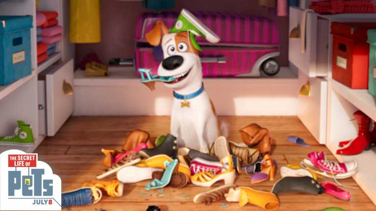 Pets – Vita da Animali: lo spot dal Super Bowl Pets – Vita da Animali: lo spot dal Super Bowl