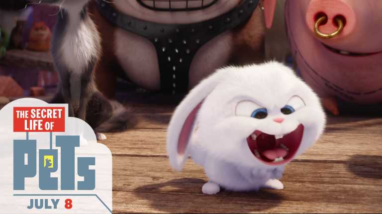 Pets – Vita da Animali: buona Pasqua nel nuovo video! Pets – Vita da Animali: buona Pasqua nel nuovo video!