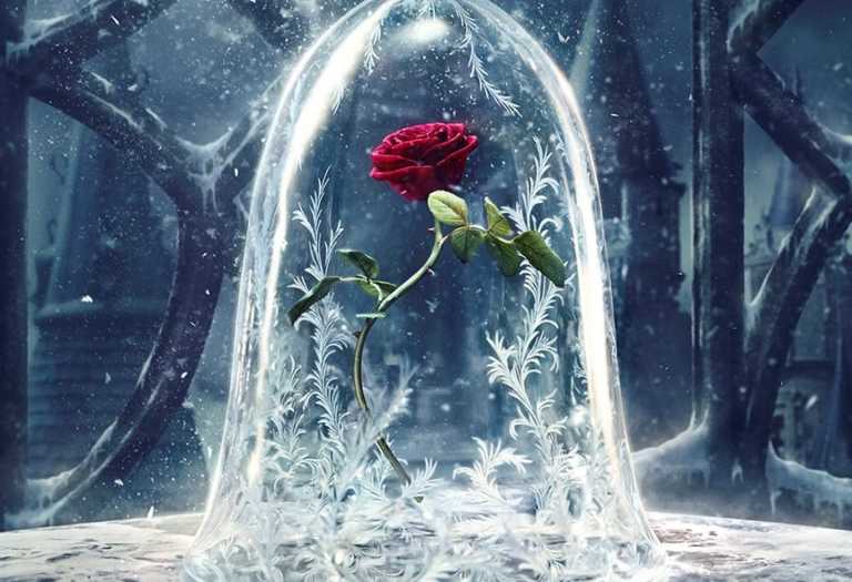 La Bella e la Bestia: la rosa incantata nel teaser poster La Bella e la Bestia: la rosa incantata nel teaser poster