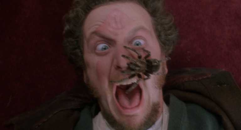 Mamma ho perso l’aereo: Daniel Stern omaggia la celebre scena del ragno – video Mamma ho perso l’aereo: Daniel Stern omaggia la celebre scena del ragno – video