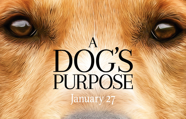 dogspurpose