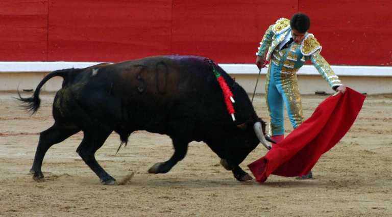 Toro Loco Toro Loco