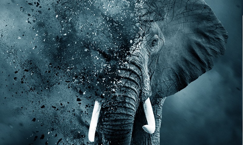 the-ivory-game