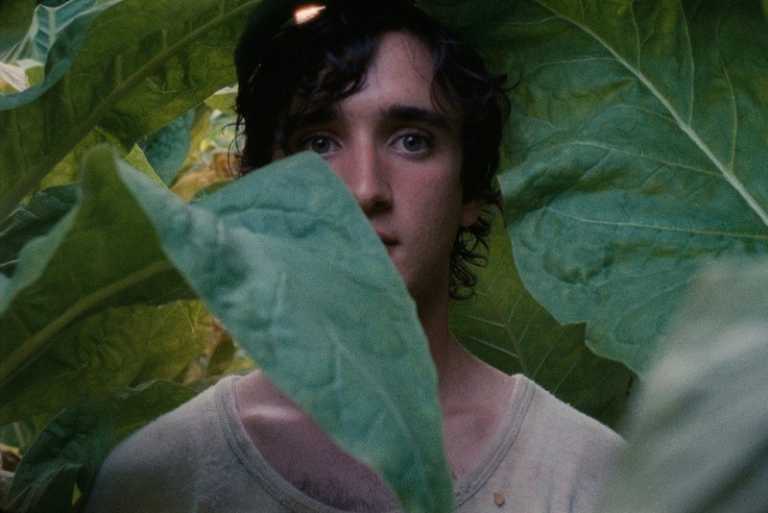 LAZZARO FELICE di Alice Rohrwacher in concorso a Cannes 71