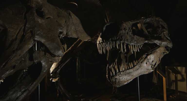 Dinosaurs, al cinema il 10, 11, e 12 Dicembre
