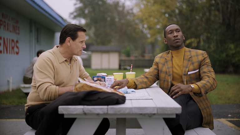 Green Book &egrave; il film Premio Oscar pi&ugrave; visto di sempre
