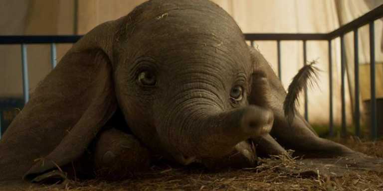Dumbo: 8 differenze tra classico e live action Dumbo: 8 differenze tra classico e live action