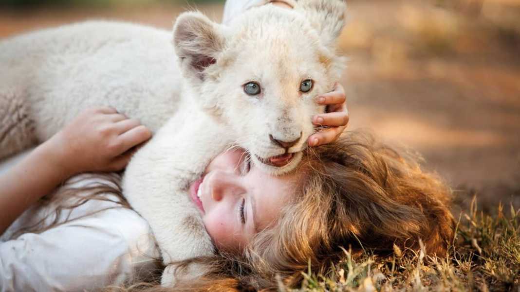 mia-et-le-lion-blanc