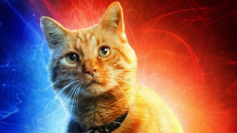 Captain Marvel: tutti i segreti sul gatto Goose Captain Marvel: tutti i segreti sul gatto Goose