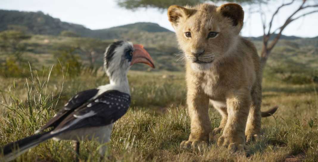 Il Re Leone 6 Il Re Leone