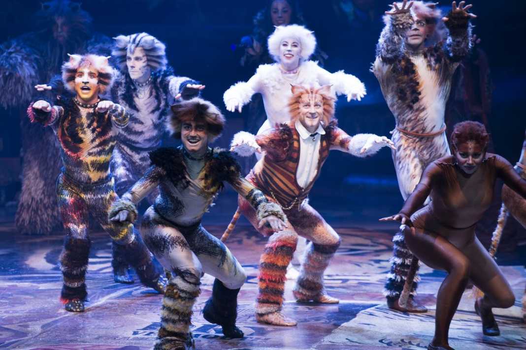Cats cats