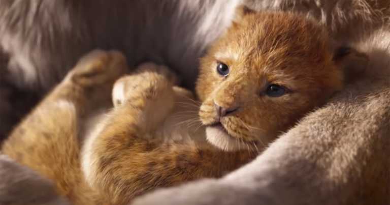 Il Re Leone: la Nala di Beyonce parla nel nuovo spot Il Re Leone: la Nala di Beyonce parla nel nuovo spot
