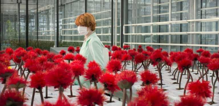 Little Joe: recensione del film di Jessica Hausner &ndash; #Cannes72