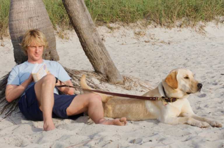 Film sui cani: l&rsquo;elenco completo dei migliori film sui cani
