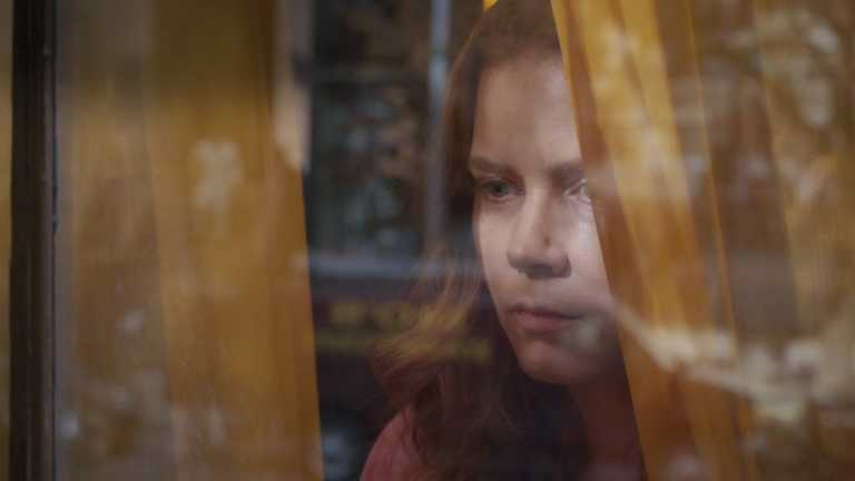La Donna alla Finestra: il trailer del nuovo film di Joe Wright con Gary Oldman La Donna alla Finestra: il trailer del nuovo film di Joe Wright con Gary Oldman