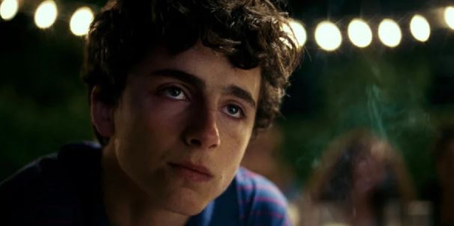 Timothée Chalamet Timothée Chalamet