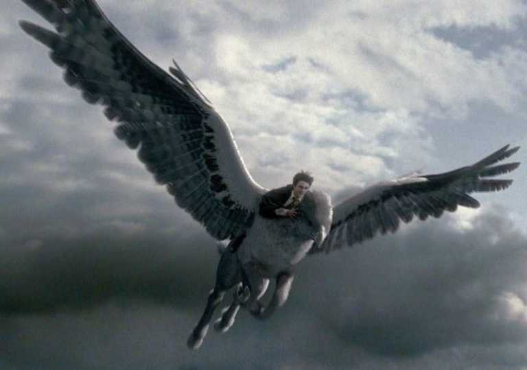 Harry Potter e il prigioniero di Azkaban: quello che non sai su Fierobecco Harry Potter e il prigioniero di Azkaban: quello che non sai su Fierobecco