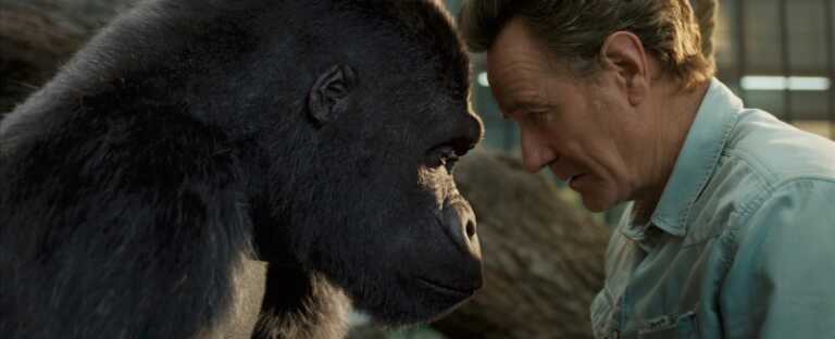 L&rsquo;unico e insuperabile Ivan: la recensione del film con Bryan Cranston
