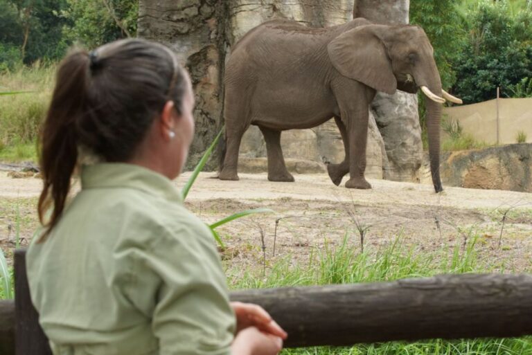Gli Eroi del Disney&rsquo;s Animal Kingdom: recensione della serie Disney+