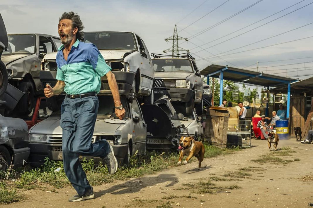 Il ladro di Cardellini film 2020 Il ladro di Cardellini film 2020
