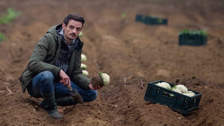 Il vegetale: trama e cast del film con Fabio Rovazzi