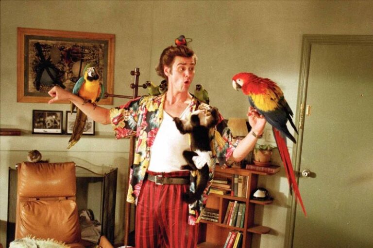 Ace Ventura – L’acchiappanimali: trama, cast e sequel del film Ace Ventura – L’acchiappanimali: trama, cast e sequel del film