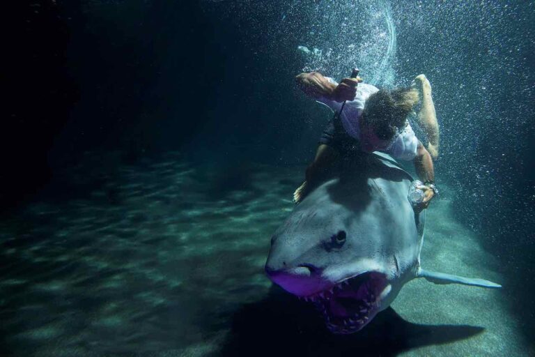 47 metri: Great White, dal 30 settembre in sala, ecco il trailer 47 metri: Great White, dal 30 settembre in sala, ecco il trailer