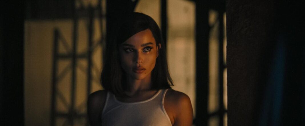 Selina Kyle The Batman Selina Kyle The Batman