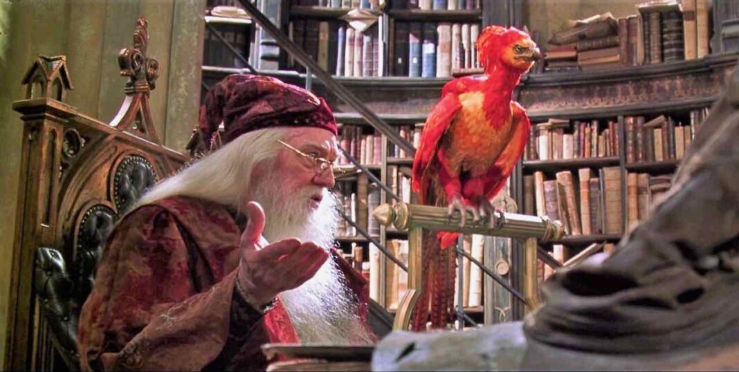silente fanny (1) harry potter silente fanny