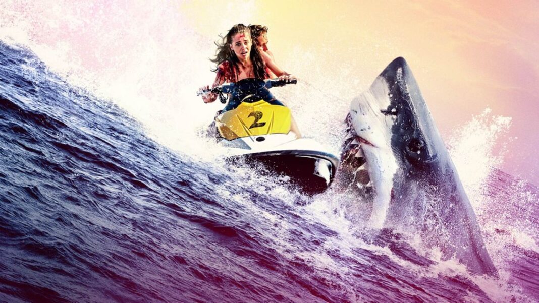 Shark Bait Shark Bait