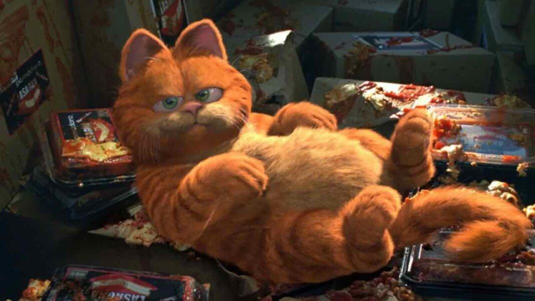 Garfield Garfield