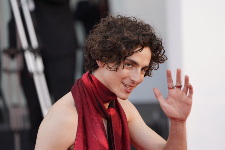 Timoth&eacute;e Chalamet &ldquo;trasuda carisma&rdquo; secondo una sua co-star in Wonka