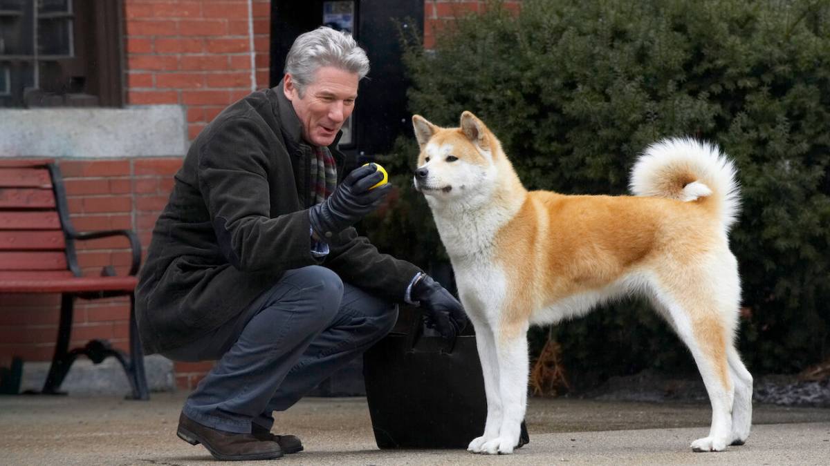 Hachiko torna al cinema, solo il 13 dicembre Cinefilos.it