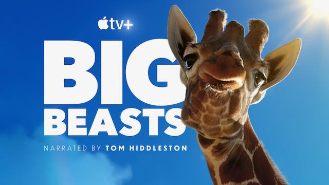 Apple_TV_Big_Beasts_key_art_16_9 Apple TV+