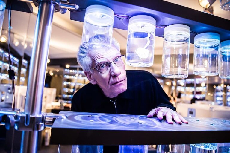 The Shrouds: David Cronenberg ha finito le riprese del suo nuovo film horror