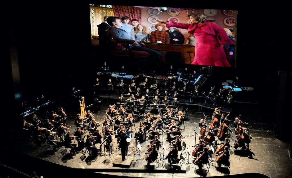 Harry Potter e l'Ordine della Fenice in concerto Harry Potter e l'Ordine della Fenice in concerto