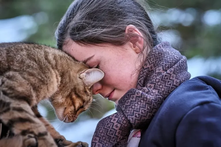 Vita da gatto: recensione del film di Guillaume Maidatchevsky
