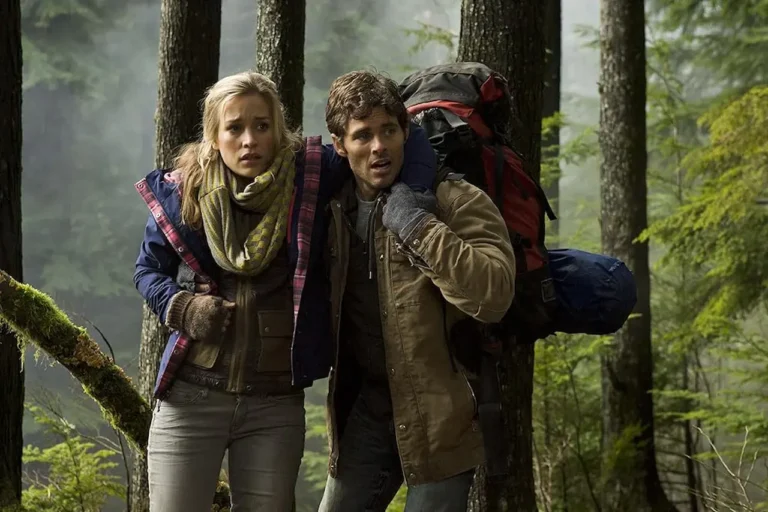 Il labirinto del grizzly: trama, cast e curiosità sul film Il labirinto del grizzly: trama, cast e curiosità sul film