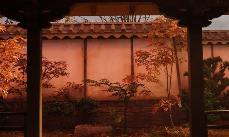 The World of Shōgun The World of Shōgun