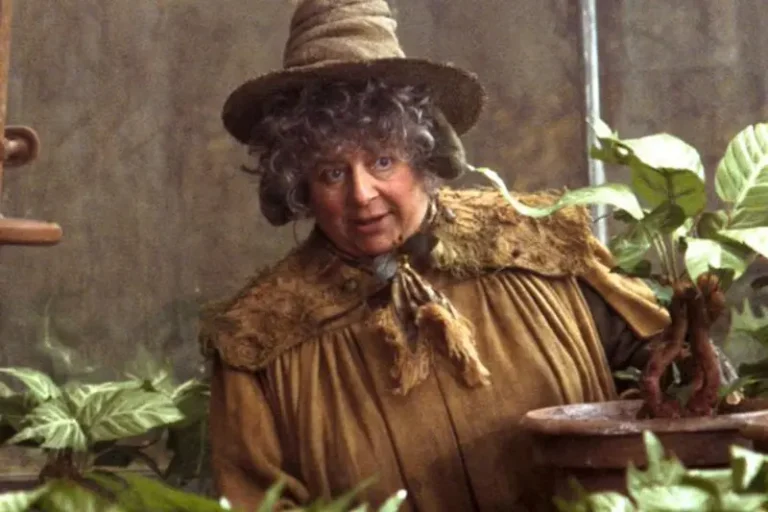 Miriam Margolyes, Sprout di Harry Potter, contro i fan adulti: &ldquo;&Egrave; stato 25 anni fa, crescete!&rdquo;