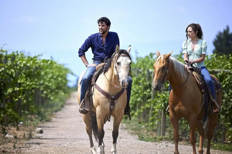 Il vigneto dell&rsquo;amore: dal cast alle location, tutto quello che c&rsquo;&egrave; da sapere sul film
