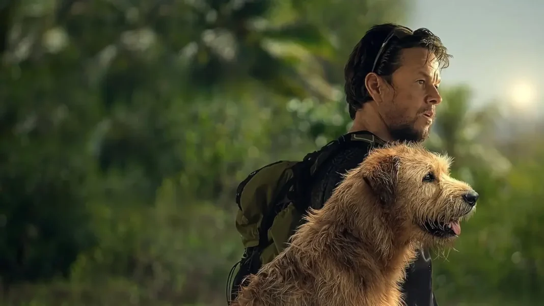 Arthur the King storia vera film con Mark Wahlberg Arthur the King storia vera film con Mark Wahlberg